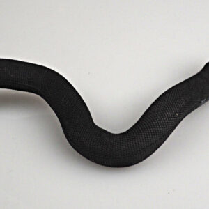 AUDI A6 C8 Coolant Hose 4K0265374Q ORIGINAL