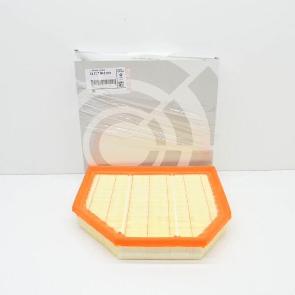 BMW F10 M5 Engine Air Filter 13727843283  ORIGINAL