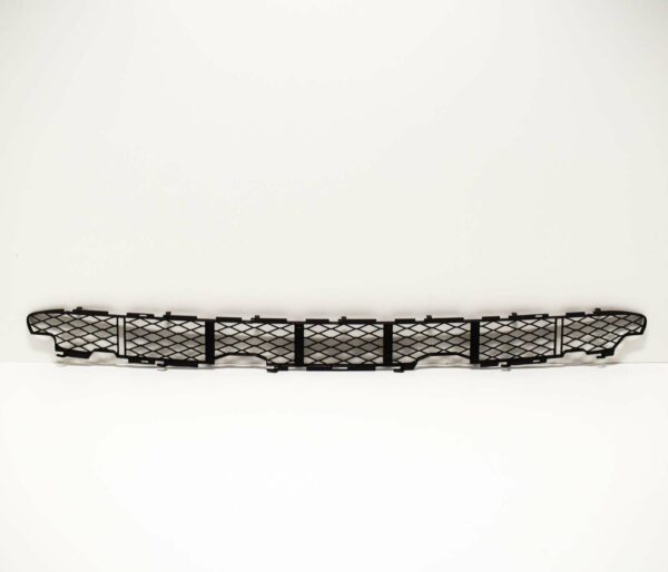 BMW X5 E53 Front Bumper Lower Grille 51117111767 7111767 ORIGINAL - Image 4