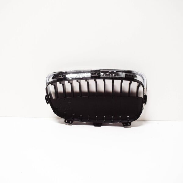 BMW 1 F20 Front Radiator Left Kidney Grille 51137324389 7324389 ORIGINAL - Image 4