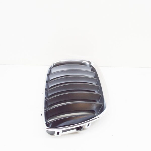 BMW X5 E53 Front Right Radiator Kidney Grille 51137113734 7113734 ORIGINAL - Image 3