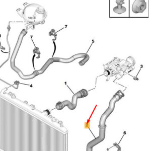CITRO�N C3 MK3 SX Radiator Outlet Hose 9814446680 ORIGINAL