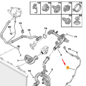 CITRO�N C3 MK3 SX Radiator Outlet Hose 9818459180 ORIGINAL