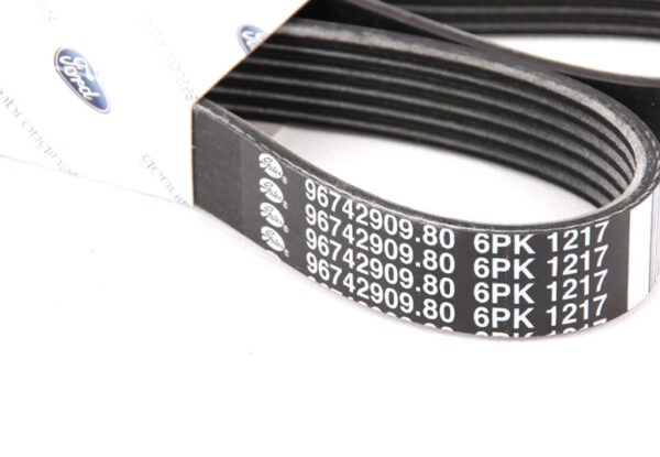 FORD C-MAX M1 Driving V-Belt 4M5Q-6C301-ED 1702537 ORIGINAL - Image 2