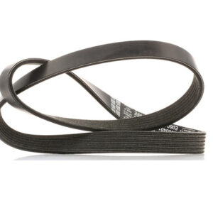 FORD FOCUS MK3 C346 Driving V-Belt AM5Q-6C301-FA 1692106 ORIGINAL