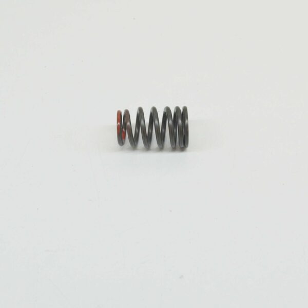 MERCEDES-BENZ ML W164 Exhaust Valve Spring A1560530820 ORIGINAL