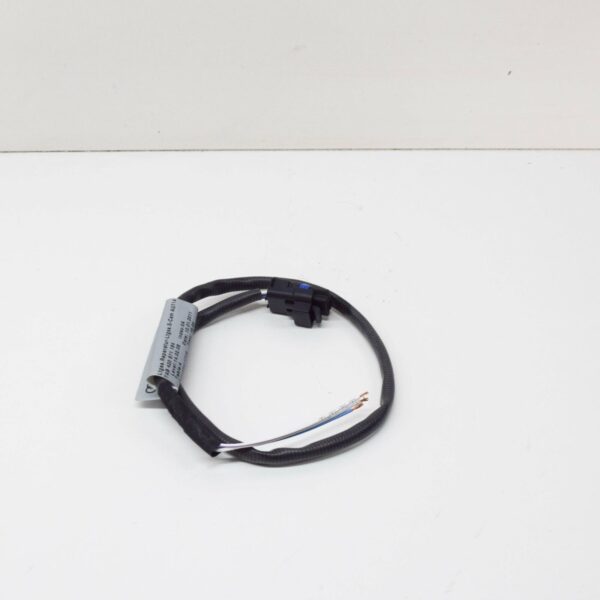 AUDI R8 42 R Tronic Gear Detection Sensor Wiring Harness 420971164 ORIGINAL - Image 2