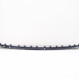 NEW VOLKSWAGEN PASSAT B7 R-LINE FRONT BUMPER GRILLE TRIM 3AA853711041