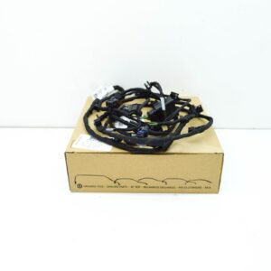 NEW AUDI Q8 4MN FRONT PARKING PDC AID WIRING HARNESS 4M8971095GF ORIGINAL