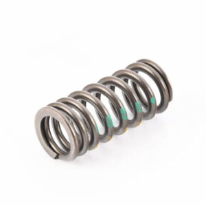 NEW AUDI Q5 FY EXHAUST VALVE SPRING 06K109623B ORIGINAL