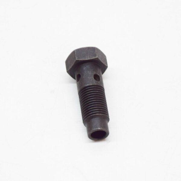 NEW BMW M5 E39 CYLINDER HEAD MOUNTING HOLLOW BOLT 11367832139 ORIGINAL