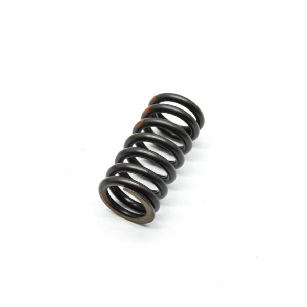 NEW AUDI A4 B7 INTAKE VALVE SPRING 058109633 ORIGINAL