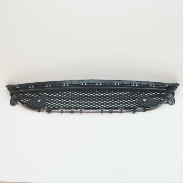 NEW MB E W213 AMG FRONT BUMPER CENTER LOWER GRILLE A2138856900 - Image 2