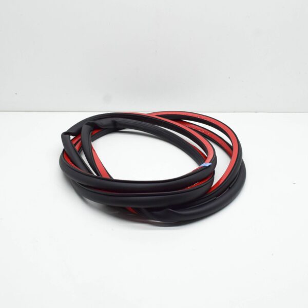 NEW VW TIGUAN AD FRONT LEFT DOOR OUTER SEAL RUBBER 5NA837701A5AP - Image 3