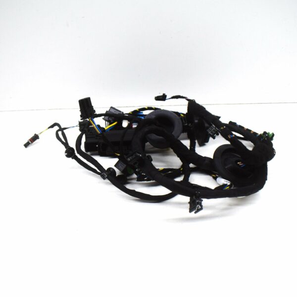 NEW AUDI R8 SPYDER 4S FRONT RIGHT DOOR WIRING HARNESS 4S8971030G ORIGINAL - Image 5