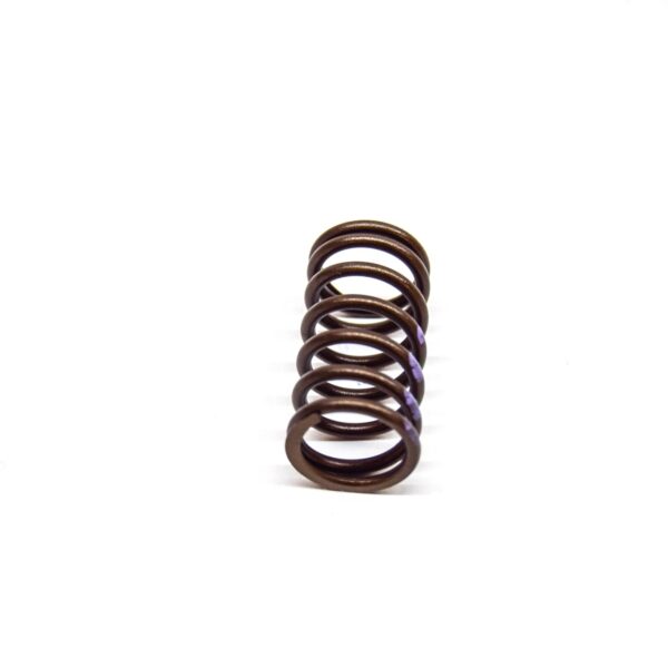 NEW BMW 5 E34 ENGINE VALVE SPRING 11341726473 1726473 ORIGINAL - Image 6