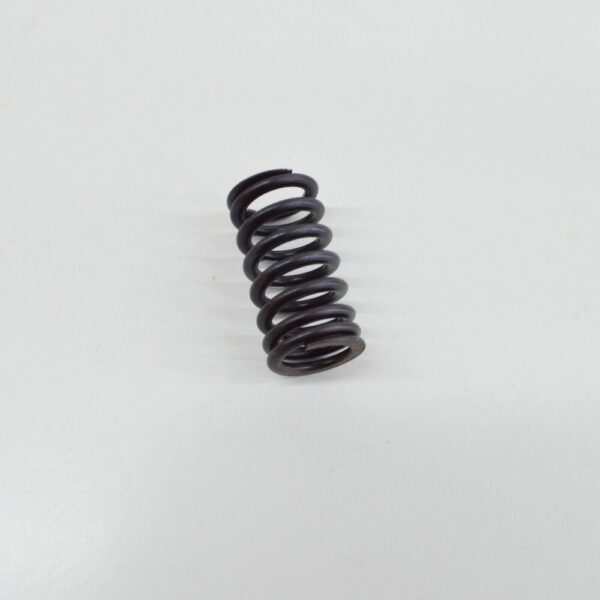 New Audi VW AUDI VALVE SPRING INLET 06E109623H - Image 3