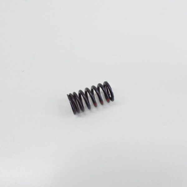New Audi VW AUDI VALVE SPRING INLET 06E109623H - Image 4