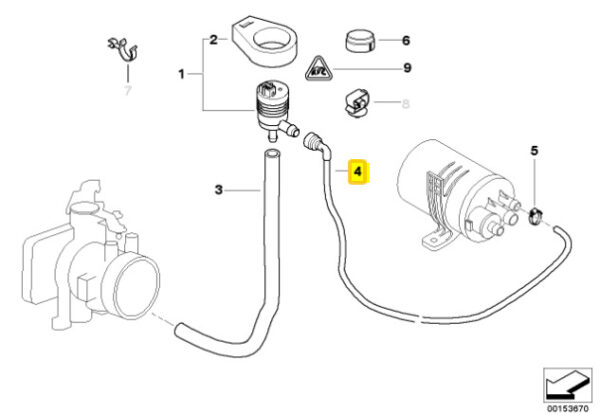 Hose