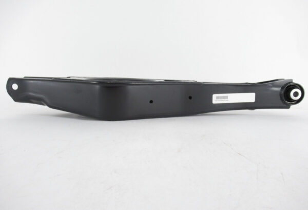 Rear Lower