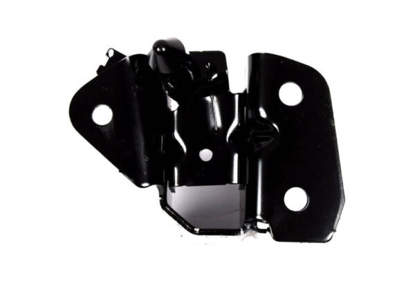 NEW GENUINE OEM 2177934 NEW FORD ECOSPORT MK2 BK REAR LEFT KNUCKLE BRACKET GN15-5597-A1B 2177934