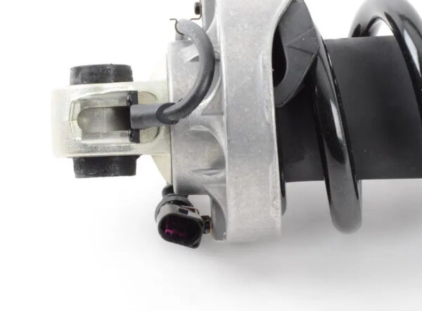 Audi R8 Spyder 42 rear right shock absorbers 4205120AJ NEW ORIGINAL - Image 3