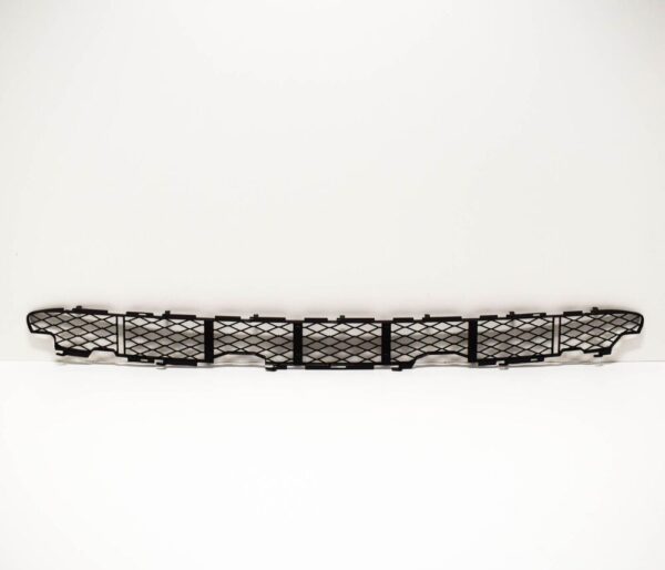 BMW X5 E53 Front Bumper Lower Grille 51117111767 7111767 New ORIGINAL - Image 4