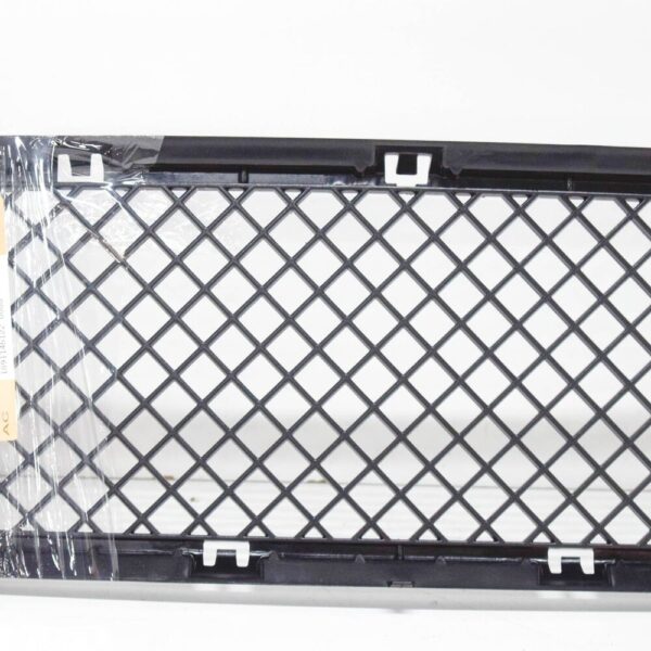BMW 5 E60 M Sport Front Lower Bumper Grille 51117896586 NEW ORIGINAL