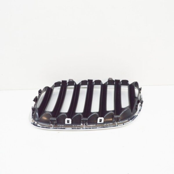 BMW X5 E53 Front Right Radiator Kidney Grille 51137113734 7113734 NEW ORIGINAL