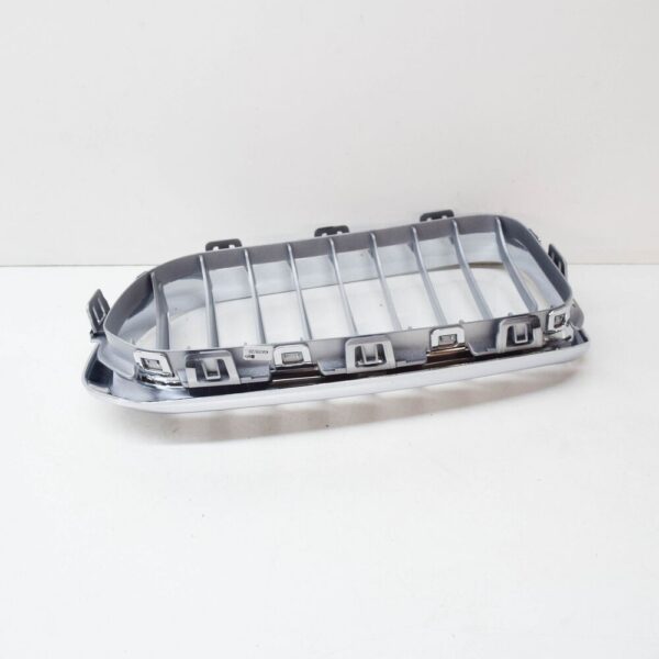 BMW 1 F20 Radiator Right Grille 51137371688 7371688 2015 New ORIGINAL