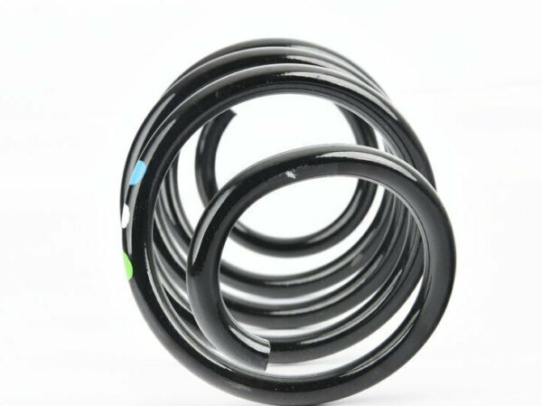 Volkswagen TIGUAN 5N MK1 Screw Spring 5N0411105AE NEW REAL - Image 3