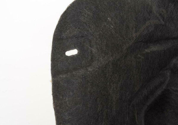 5N0810972