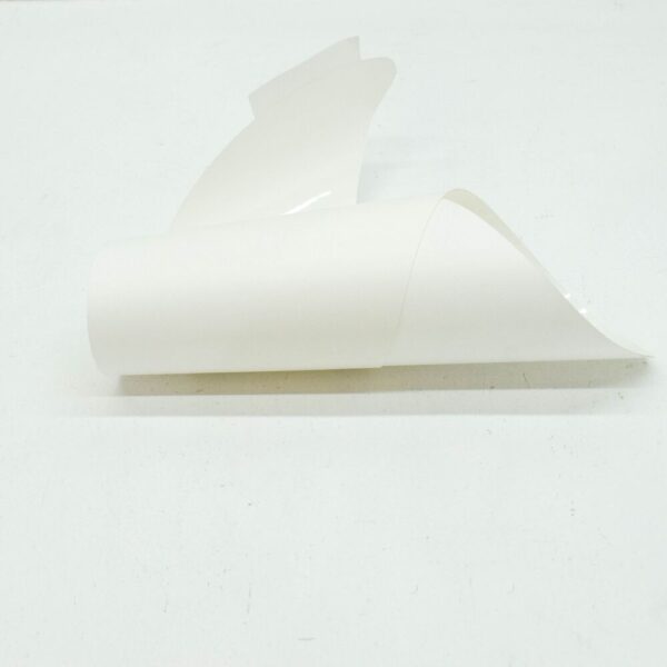 Porsche Cayman 987 Stone Chip Protection Sticker Rear Left 98750482502 GENUINE
