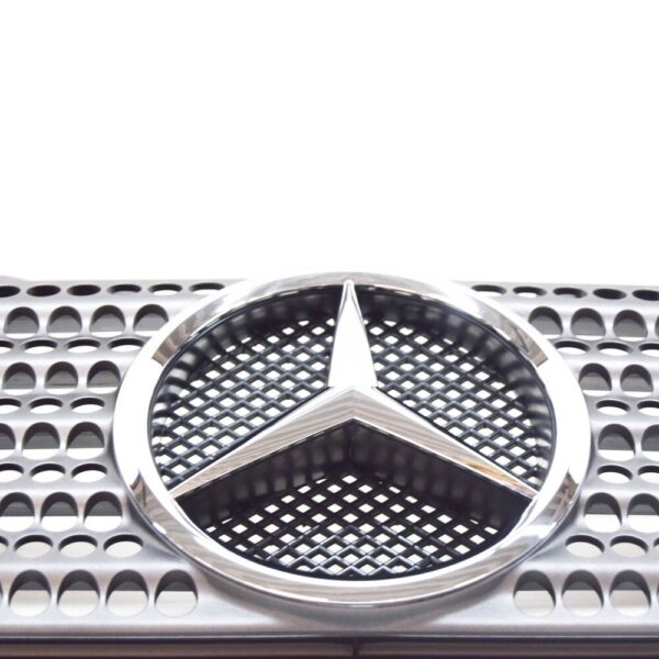 Mercedes-Benz SLK R170 Front Radiator Grille A1708800485 New ORIGINAL - Image 5