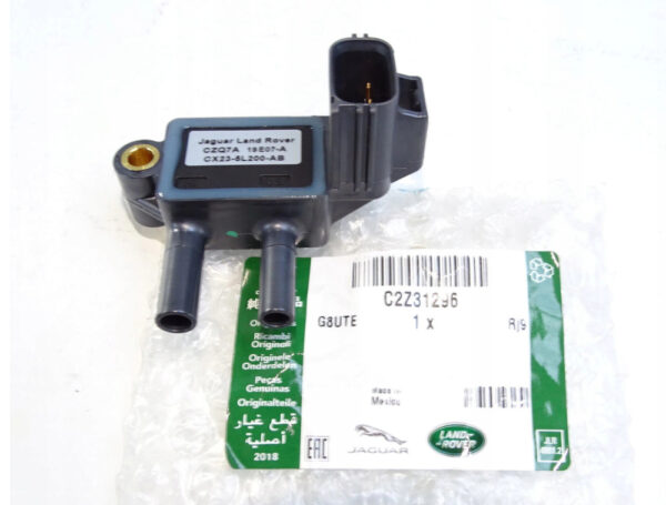 C2Z31296