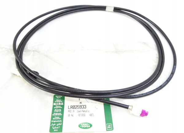LR025933