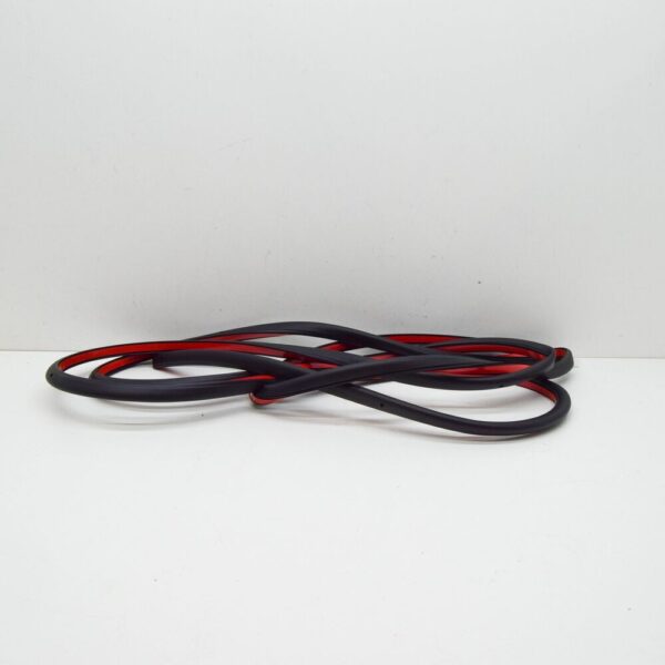 LAND ROVER RANGE ROVER EVOQUE L538 Rear Left Door Seal LR026447 NEW GENUINE - Image 3