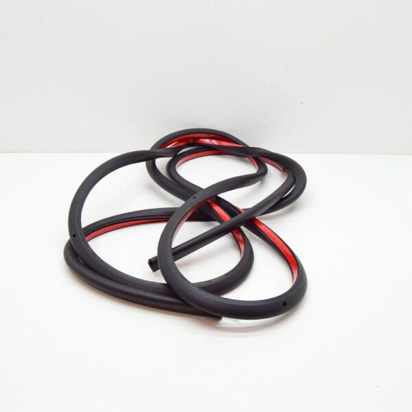 LAND ROVER RANGE ROVER EVOQUE L538 Rear Left Door Seal LR026447 NEW GENUINE