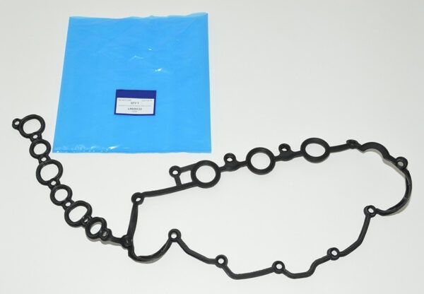 LR029132