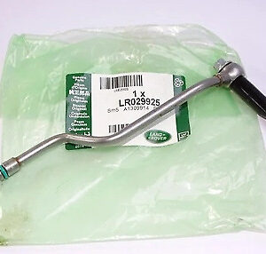 LR029925