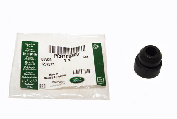 PCG100300