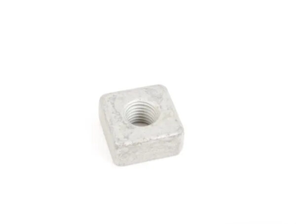 WHT002305