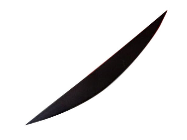 1S0854819B9B9