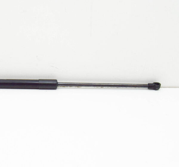 trunk lid