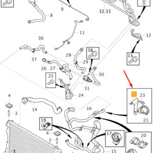 31368305