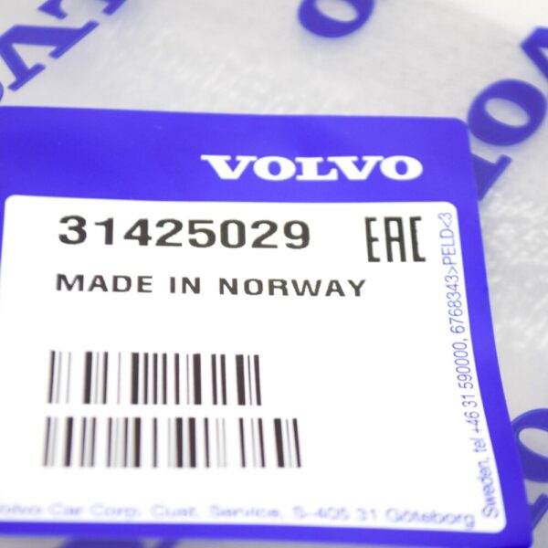 31425029