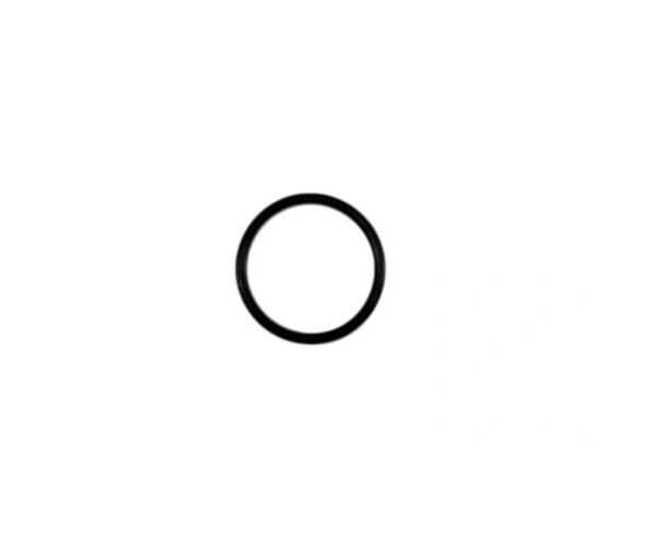 31437318