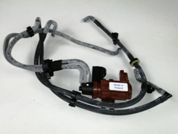 31461801