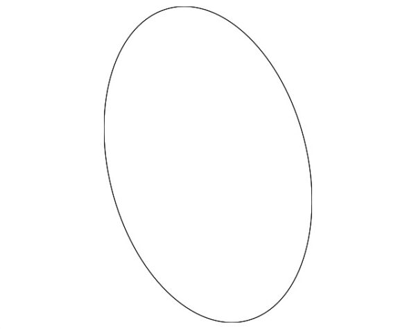 00054206519011