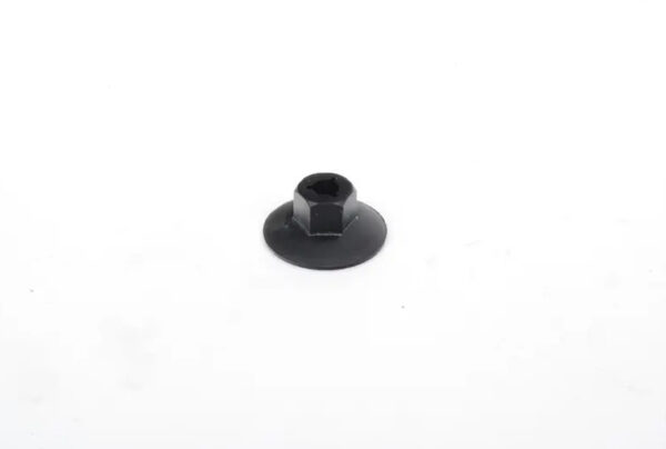 A0019889581